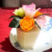 ヒメ日記 2025/05/21 12:15 投稿 寧々 Picasso(ピカソ)