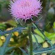 ヒメ日記 2025/05/23 12:35 投稿 寧々 Picasso(ピカソ)