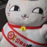 ヒメ日記 2025/05/23 19:31 投稿 寧々 Picasso(ピカソ)