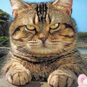 ヒメ日記 2025/06/03 16:36 投稿 寧々 Picasso(ピカソ)