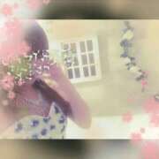 ヒメ日記 2025/06/04 19:00 投稿 寧々 Picasso(ピカソ)