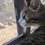 ヒメ日記 2025/06/05 12:26 投稿 寧々 Picasso(ピカソ)