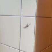 ヒメ日記 2025/06/10 15:46 投稿 寧々 Picasso(ピカソ)