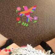 ヒメ日記 2025/06/10 21:30 投稿 寧々 Picasso(ピカソ)