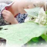 ヒメ日記 2025/06/11 15:26 投稿 寧々 Picasso(ピカソ)