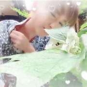 ヒメ日記 2025/06/11 16:00 投稿 寧々 Picasso(ピカソ)