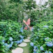 ヒメ日記 2025/06/14 19:00 投稿 寧々 Picasso(ピカソ)