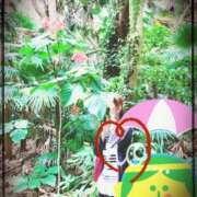 ヒメ日記 2025/06/15 16:06 投稿 寧々 Picasso(ピカソ)