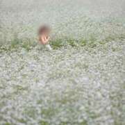 ヒメ日記 2025/06/21 12:15 投稿 寧々 Picasso(ピカソ)