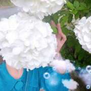 ヒメ日記 2025/06/22 12:15 投稿 寧々 Picasso(ピカソ)