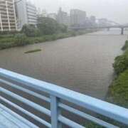 ヒメ日記 2025/06/23 14:57 投稿 寧々 Picasso(ピカソ)