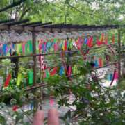 ヒメ日記 2025/06/23 16:36 投稿 寧々 Picasso(ピカソ)