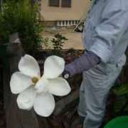 ヒメ日記 2025/06/30 12:26 投稿 寧々 Picasso(ピカソ)