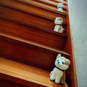 ヒメ日記 2025/06/30 12:49 投稿 寧々 Picasso(ピカソ)