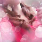 ヒメ日記 2025/06/30 22:06 投稿 寧々 Picasso(ピカソ)