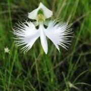 ヒメ日記 2025/07/01 12:26 投稿 寧々 Picasso(ピカソ)