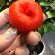 ヒメ日記 2025/07/04 00:46 投稿 寧々 Picasso(ピカソ)