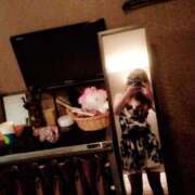 ヒメ日記 2025/07/04 20:06 投稿 寧々 Picasso(ピカソ)