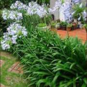 ヒメ日記 2025/07/17 12:30 投稿 寧々 Picasso(ピカソ)