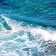 ヒメ日記 2025/07/17 23:00 投稿 寧々 Picasso(ピカソ)