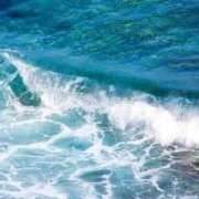 ヒメ日記 2025/07/17 23:16 投稿 寧々 Picasso(ピカソ)