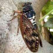 ヒメ日記 2025/07/27 23:00 投稿 寧々 Picasso(ピカソ)