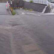 ヒメ日記 2025/08/11 16:27 投稿 寧々 Picasso(ピカソ)