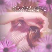 ヒメ日記 2025/08/15 21:50 投稿 寧々 Picasso(ピカソ)