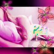 ヒメ日記 2025/08/16 16:00 投稿 寧々 Picasso(ピカソ)