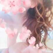 ヒメ日記 2025/08/16 19:00 投稿 寧々 Picasso(ピカソ)