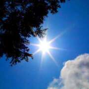 ヒメ日記 2025/08/26 12:15 投稿 寧々 Picasso(ピカソ)