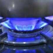 ヒメ日記 2025/09/14 12:15 投稿 寧々 Picasso(ピカソ)