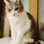 ヒメ日記 2025/09/23 15:26 投稿 寧々 Picasso(ピカソ)