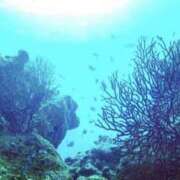 ヒメ日記 2026/02/05 12:53 投稿 寧々 熊本ピカソ