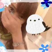 ヒメ日記 2026/02/05 17:13 投稿 寧々 熊本ピカソ