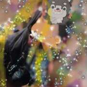 ヒメ日記 2026/02/05 17:23 投稿 寧々 熊本ピカソ