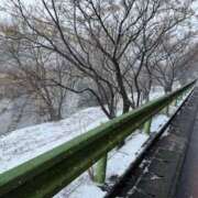 ヒメ日記 2026/02/08 16:33 投稿 寧々 熊本ピカソ