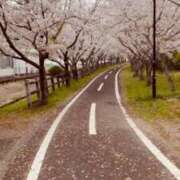 ヒメ日記 2026/02/09 17:53 投稿 寧々 熊本ピカソ