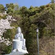 ヒメ日記 2026/02/12 08:07 投稿 寧々 熊本ピカソ