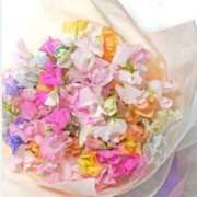 ヒメ日記 2026/02/12 12:25 投稿 寧々 熊本ピカソ