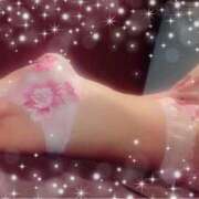 ヒメ日記 2026/02/14 19:04 投稿 寧々 熊本ピカソ