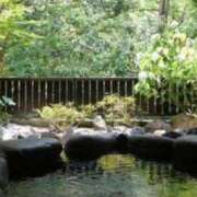 ヒメ日記 2026/02/15 06:33 投稿 寧々 熊本ピカソ