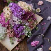 ヒメ日記 2026/02/21 12:33 投稿 寧々 熊本ピカソ