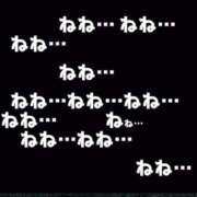 ヒメ日記 2026/02/21 19:13 投稿 寧々 熊本ピカソ