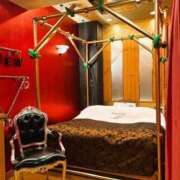 ヒメ日記 2026/02/22 12:33 投稿 寧々 熊本ピカソ