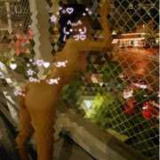 ヒメ日記 2026/02/23 22:03 投稿 寧々 熊本ピカソ