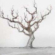 ヒメ日記 2026/02/27 16:13 投稿 寧々 熊本ピカソ