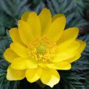 ヒメ日記 2026/02/28 12:32 投稿 寧々 熊本ピカソ