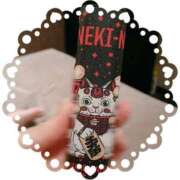 ヒメ日記 2026/03/03 08:53 投稿 寧々 熊本ピカソ