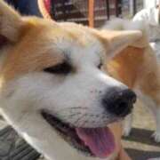 寧々 詐欺 熊本ピカソ